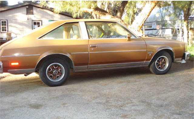 RARE Cutlass Fastback Sport