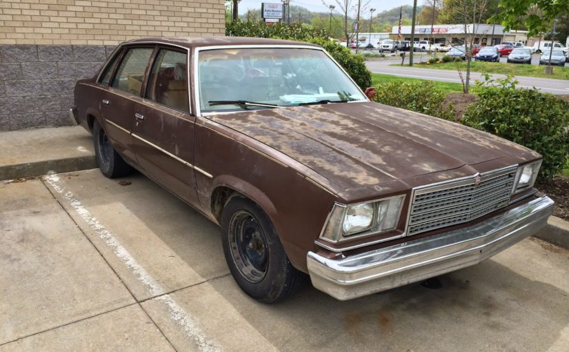 Random Sighting – Brown Bruiser Malibu